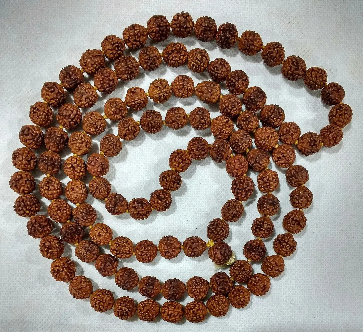 A 108-bead five-mukhi rudraksha japa mala coiled on white cloth