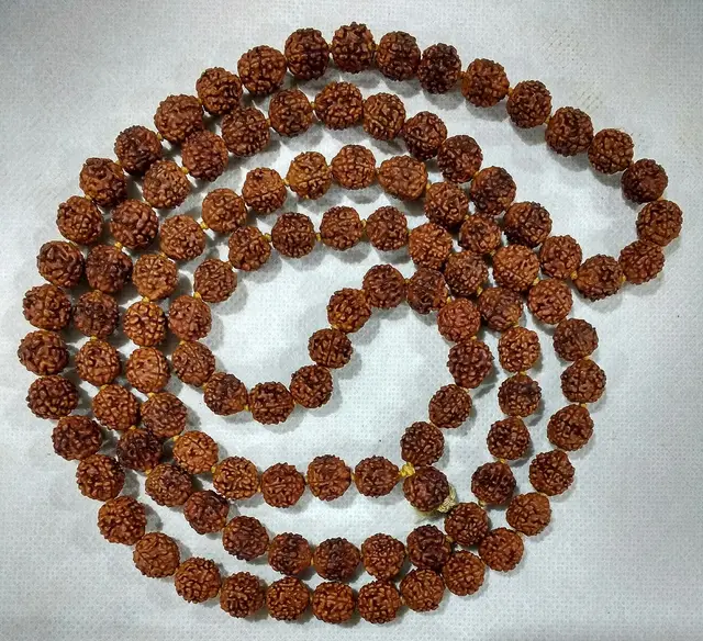 A 108-bead five-mukhi rudraksha japa mala coiled on white cloth