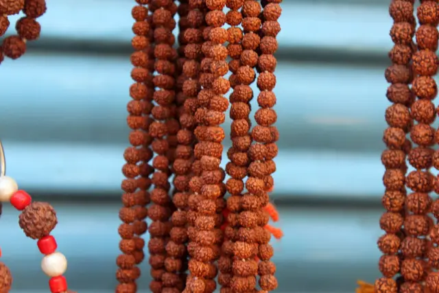 Strands of rudraksha japa malas hanging against a blue background